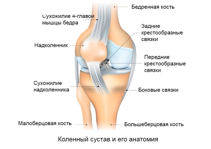 Артроз коленного сустава и мрт коленного сустава