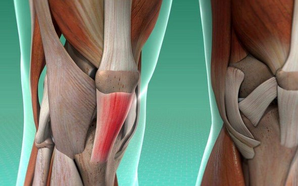 Онемение и боль в колене